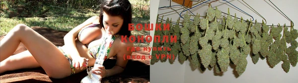 дживик Верея