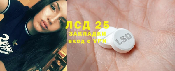 ГАЛЛЮЦИНОГЕННЫЕ ГРИБЫ Бородино