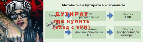 гидра Бронницы