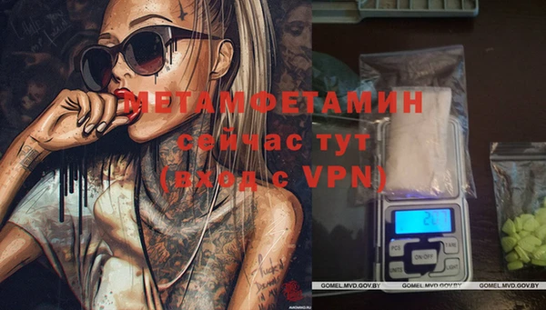 ГАЛЛЮЦИНОГЕННЫЕ ГРИБЫ Бородино