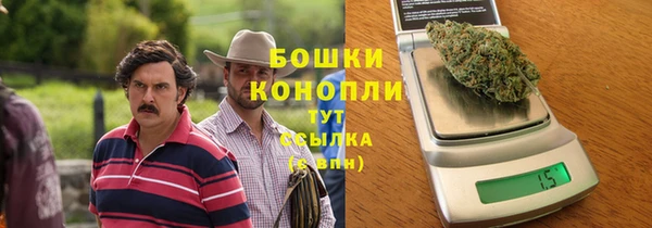 ГАЛЛЮЦИНОГЕННЫЕ ГРИБЫ Бородино
