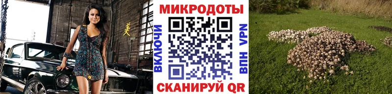 Галлюциногенные грибы прущие грибы  Октябрьский 